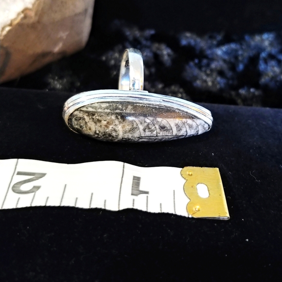 💚2 for $40💚NWOT Natural Orthoceras Fossilized Stone .925 Sterling Overlay Ring - Picture 12 of 12